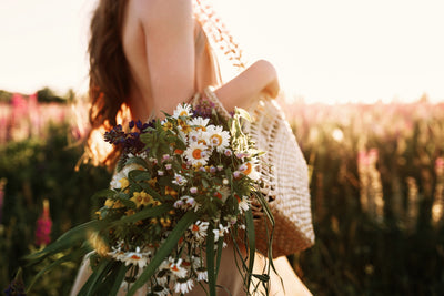 Harvest Season Collection