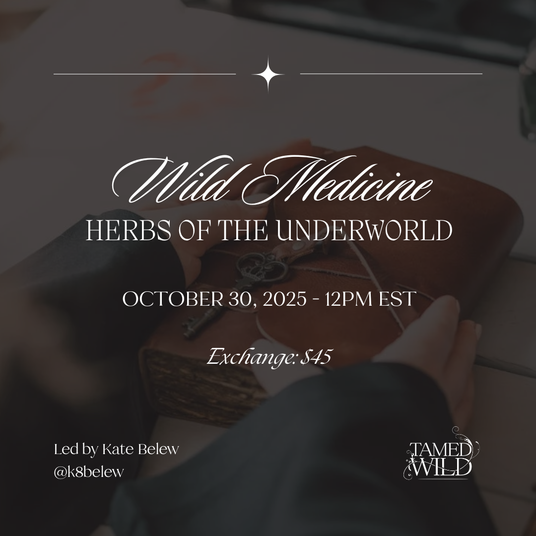 Wild Medicine: Herbs of the Underworld (Class)