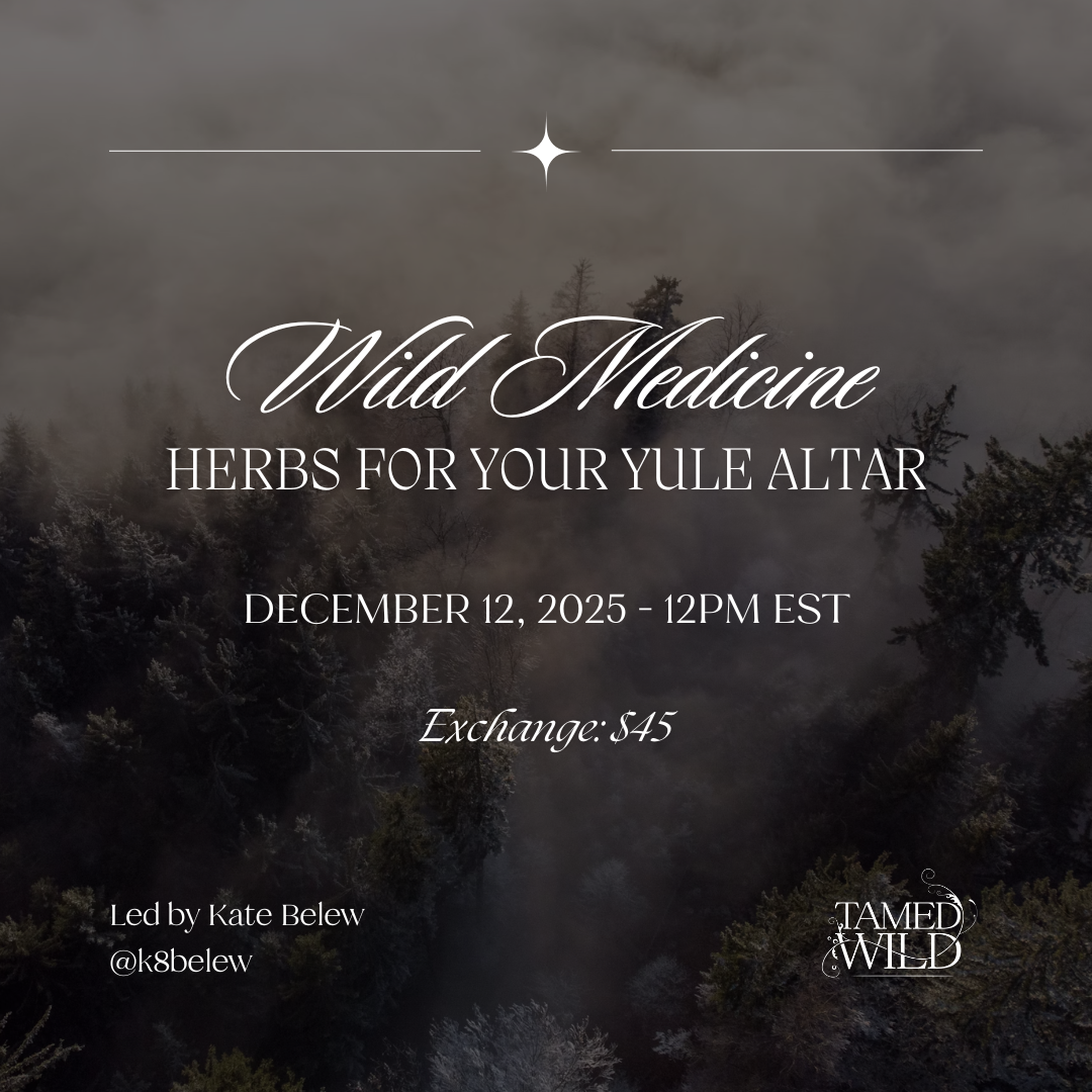 Wild Medicine: Herbs for your Yule Altar (Class)