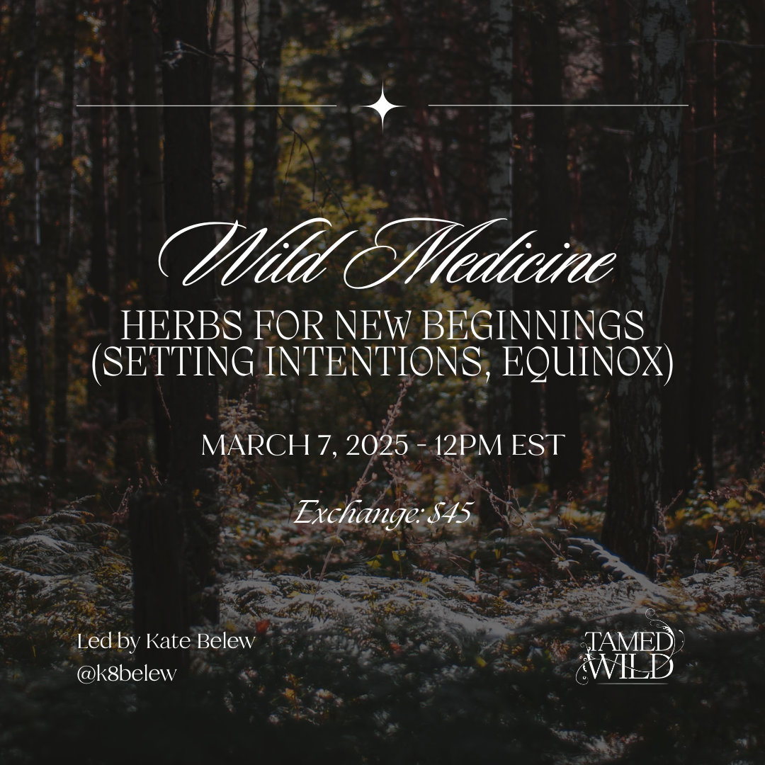 Wild Medicine: Herbs for New Beginnings (Class)