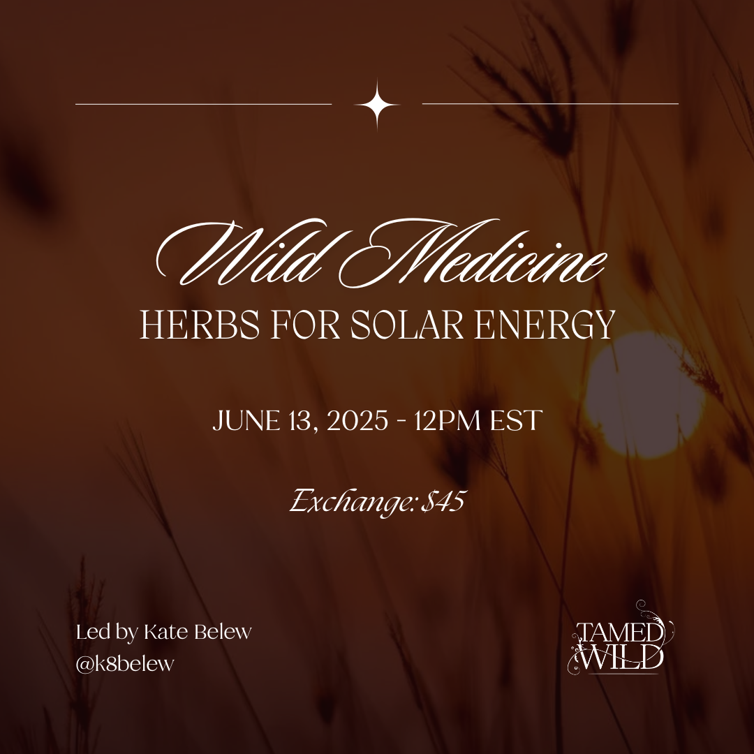 Wild Medicine: Herbs for Solar Energy (Class)