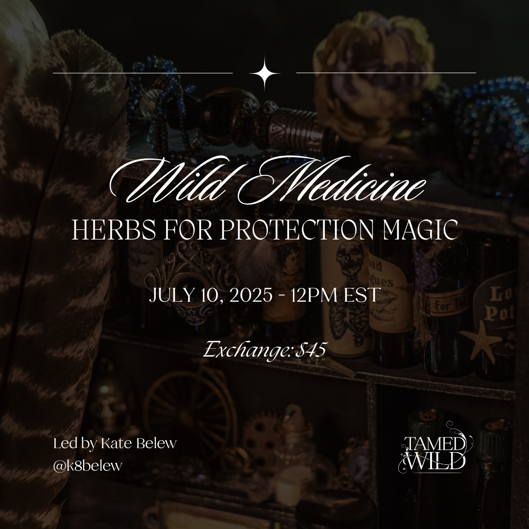 Wild Medicine: Herbs for Protection Magic (Class)