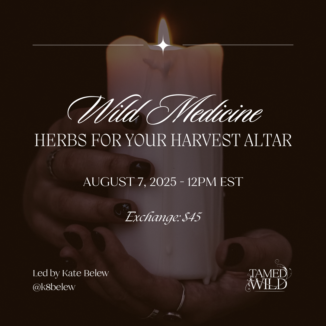 Wild Medicine: Herbs for your Harvest Altar (Class)