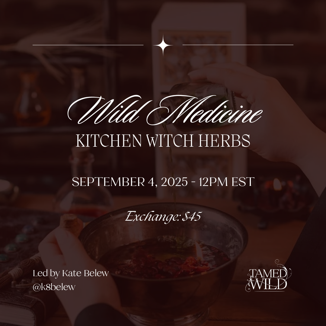 Wild Medicine: Kitchen Witch Herbs (Class)