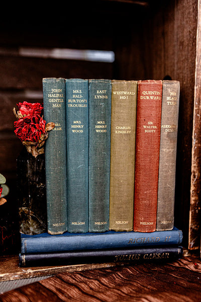 Vintage Book Bundle