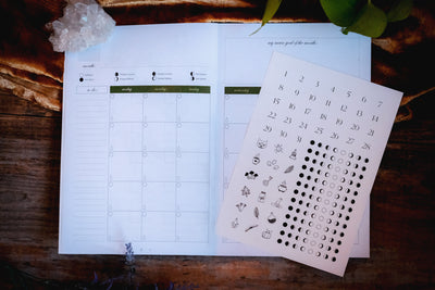 Monthly Planner & Reflection Journal Subscription