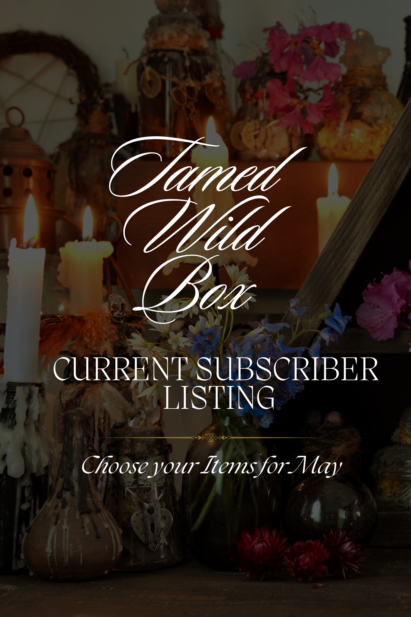TW Seasonal Subscription (Renewal)