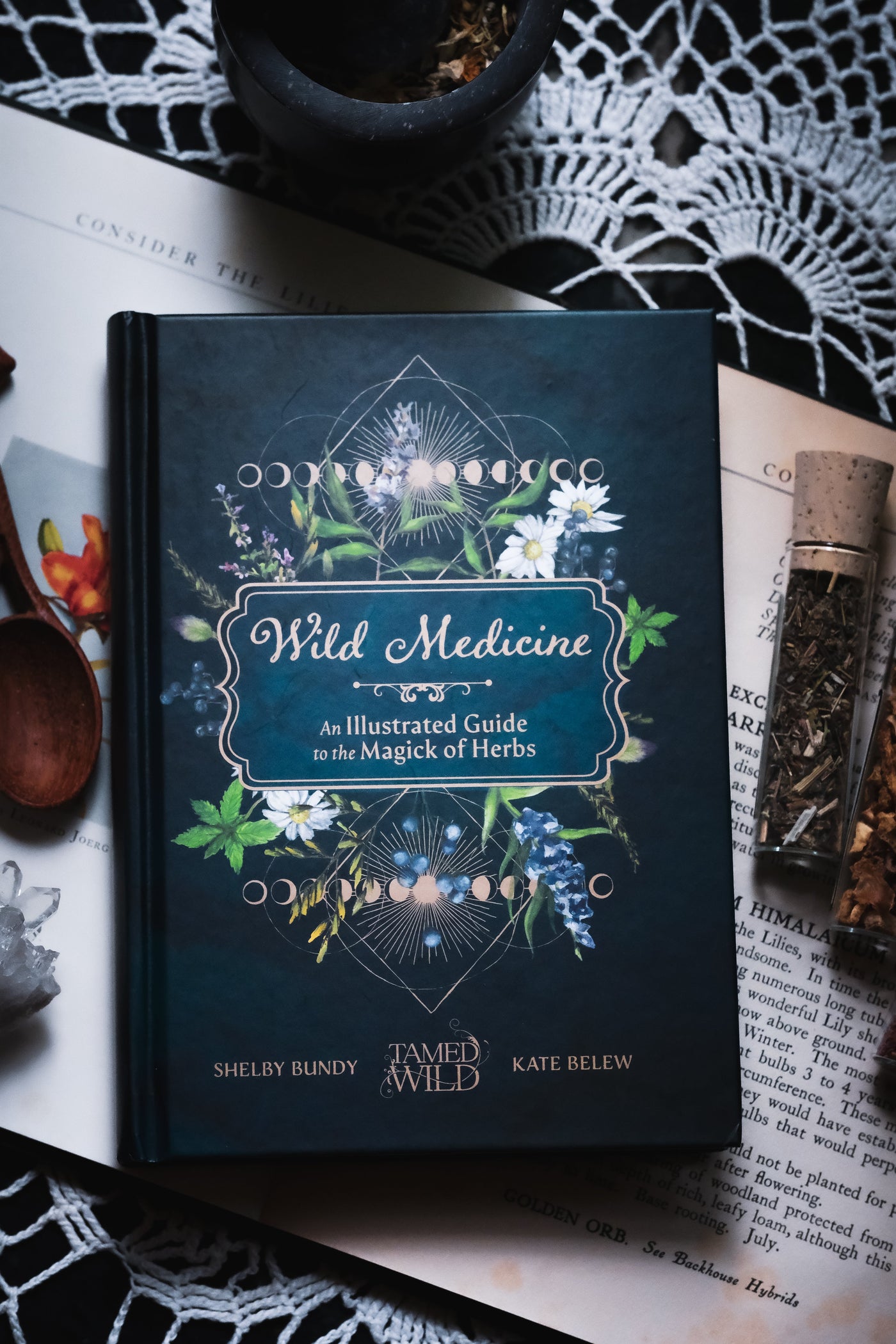 Wild Medicine: Tamed Wild's Illustrated Guide to the Magick of Herbs