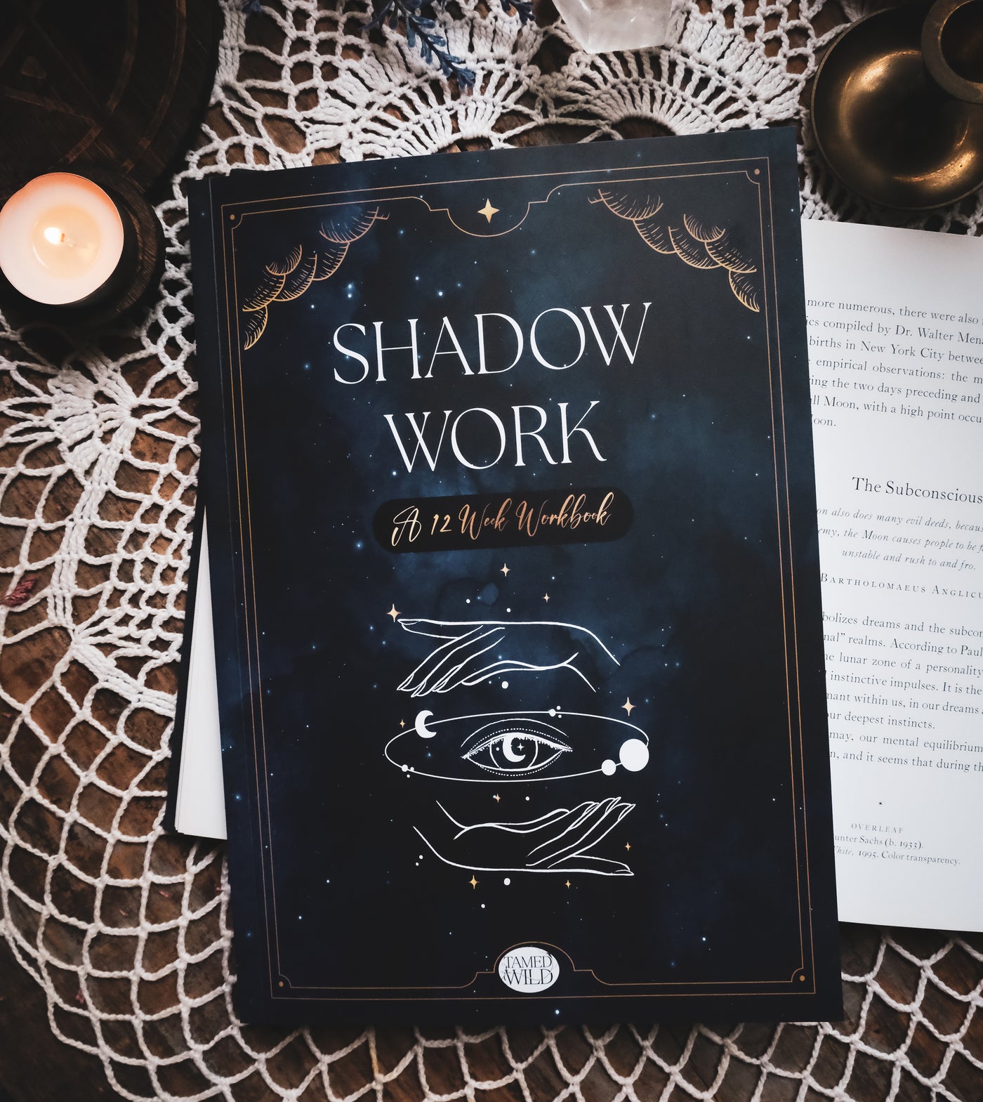 Shadow Workbook