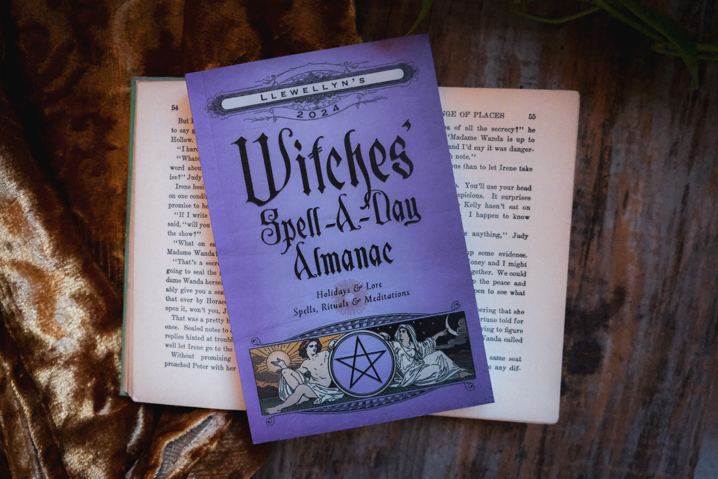 Llewellyn's Witches Spell a Day Almanac 2024 Tamed Wild