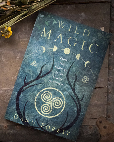 Wild Magic Book