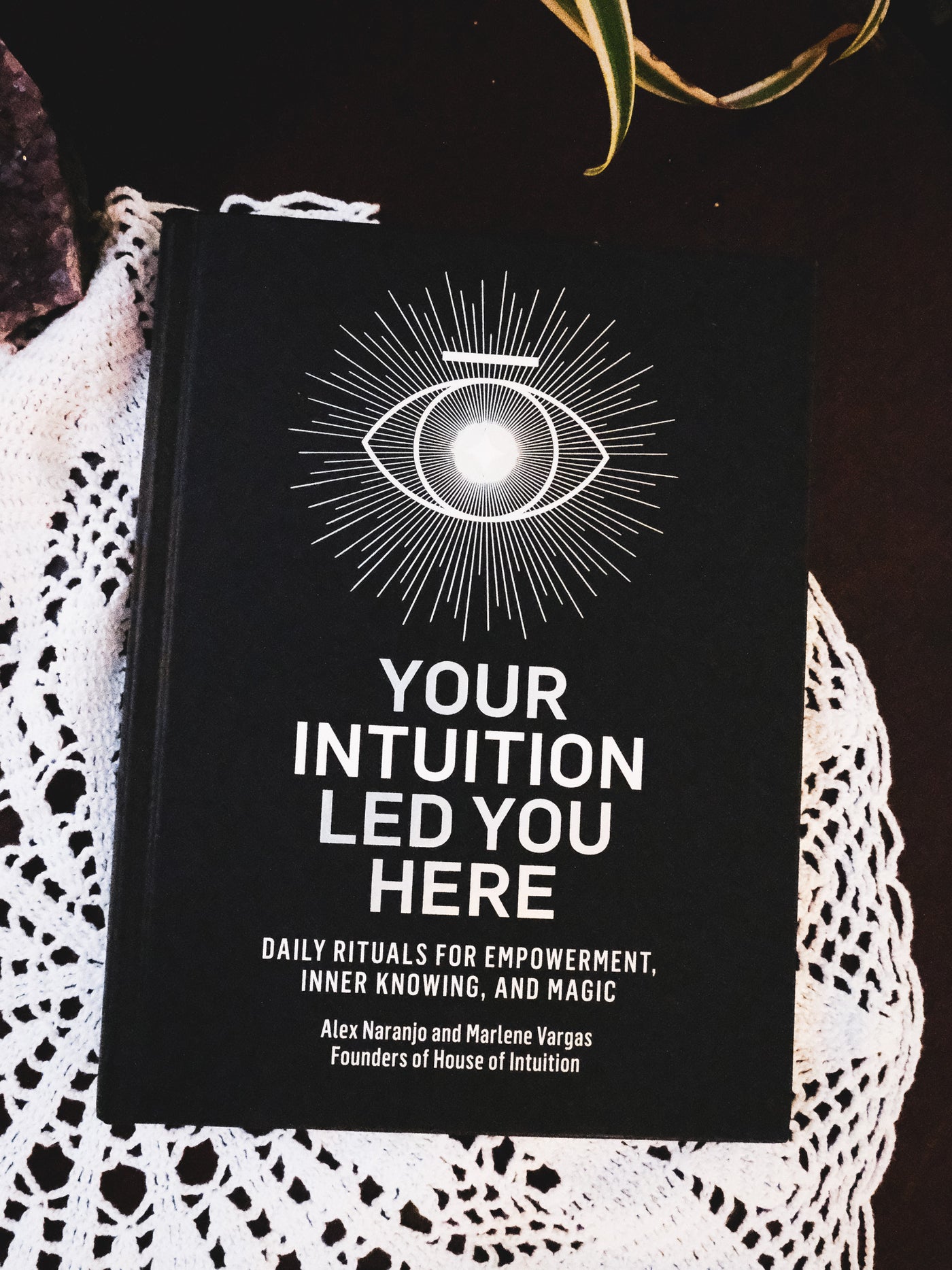 Your Intuition Led You Here