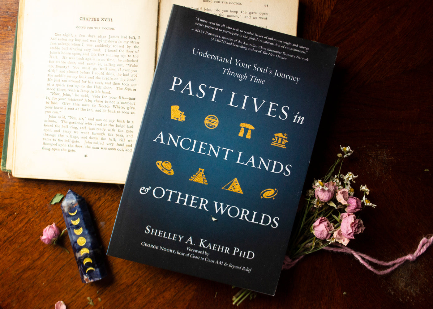 Past Lives in Ancient Lands & Other Worlds Book