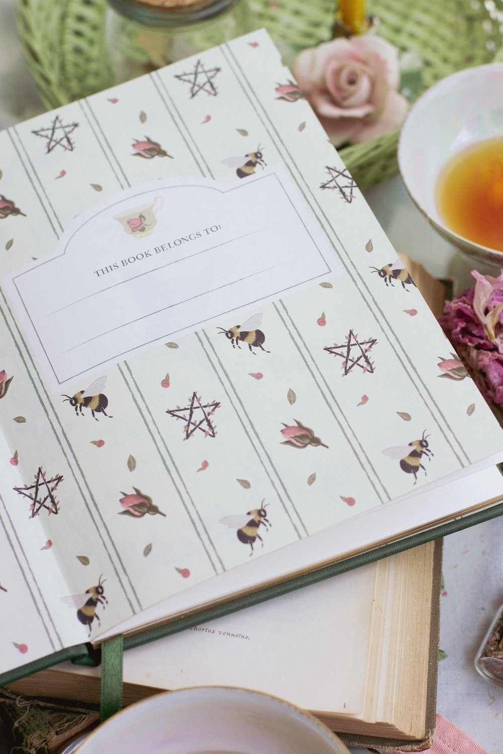 Telling The Bees By Little Witch Books Telling the bees by little witch books