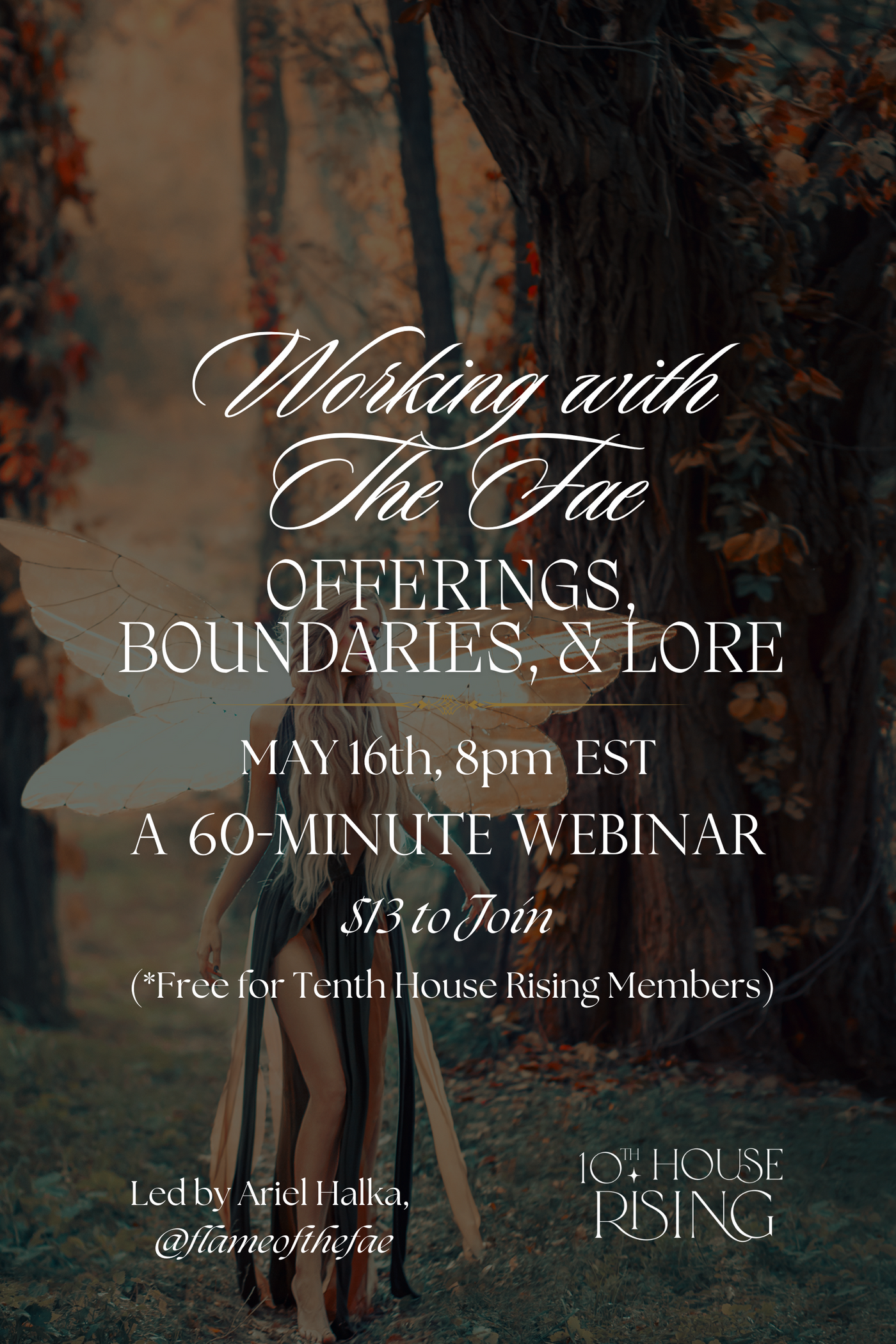 Working with The Fae Webinar