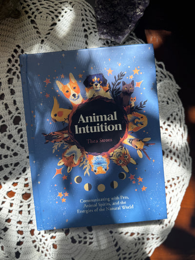 Animal Intuition