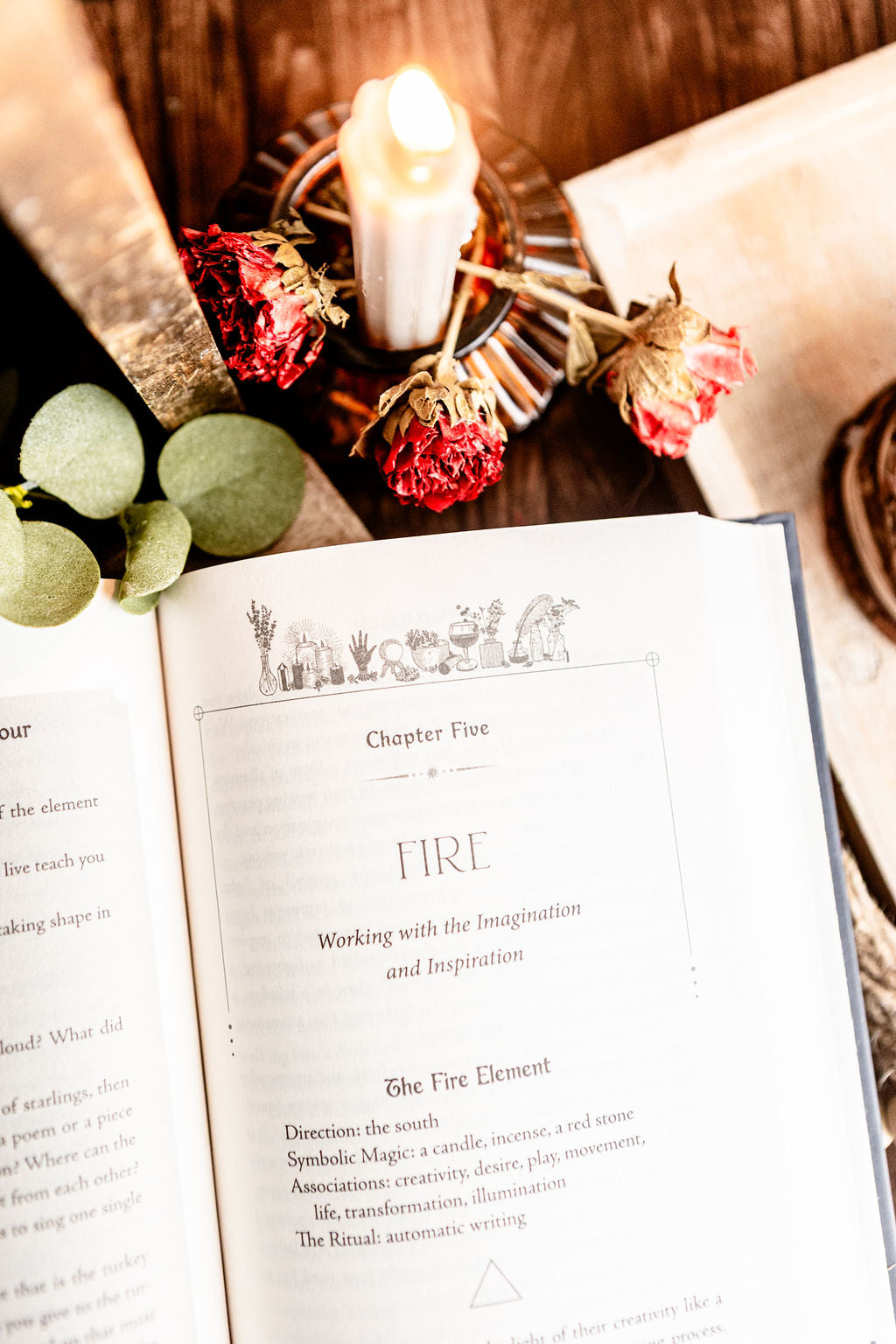 Word Witch by Kate Belew