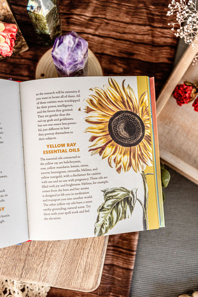 The Rainbow Witch: Enhance Your Magic with the Secret Powers of Color