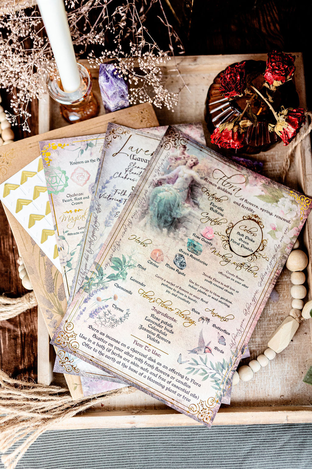 Tamed Wild Grimoire Subscription