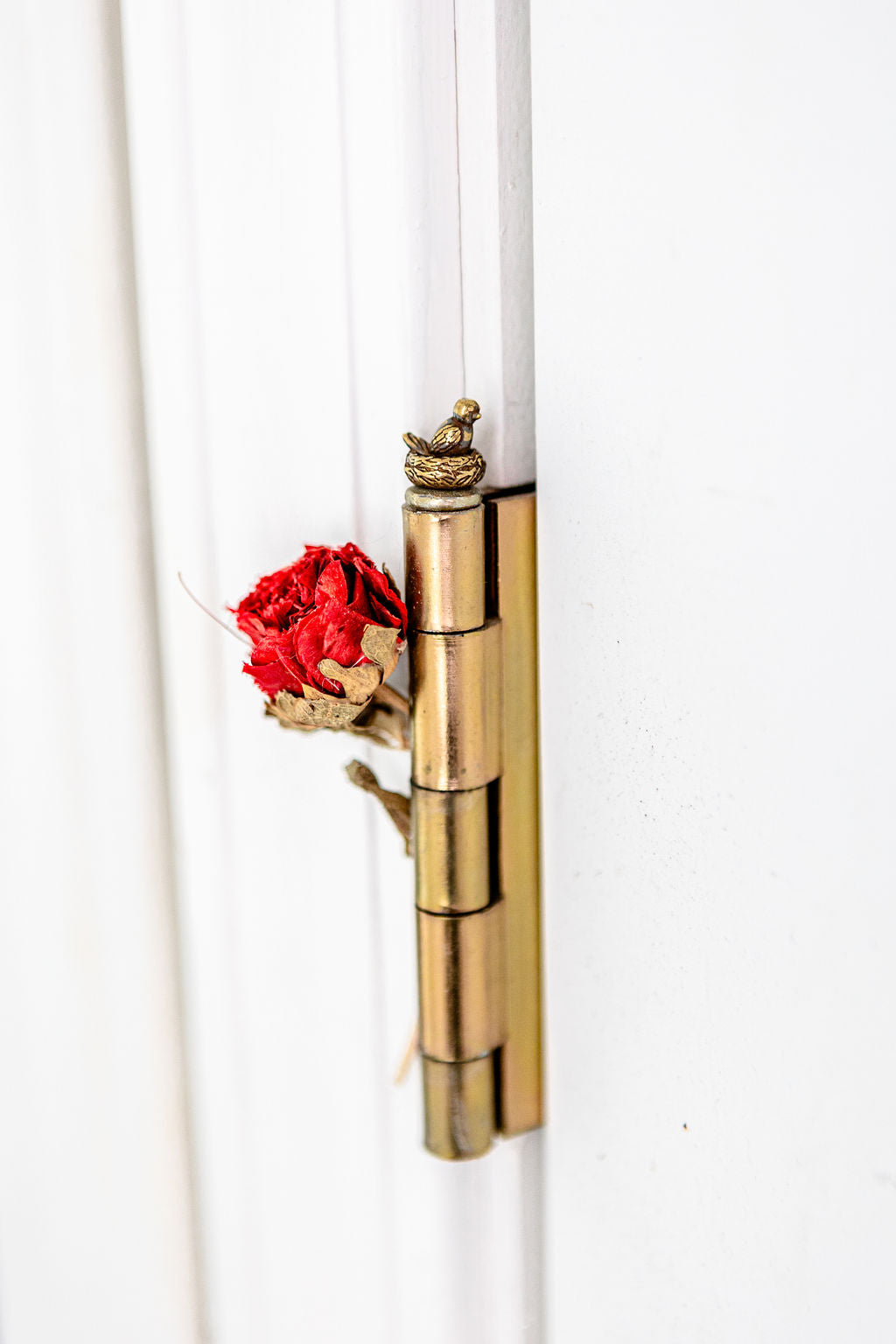 Threshold Guardians (Hinge Magnets)