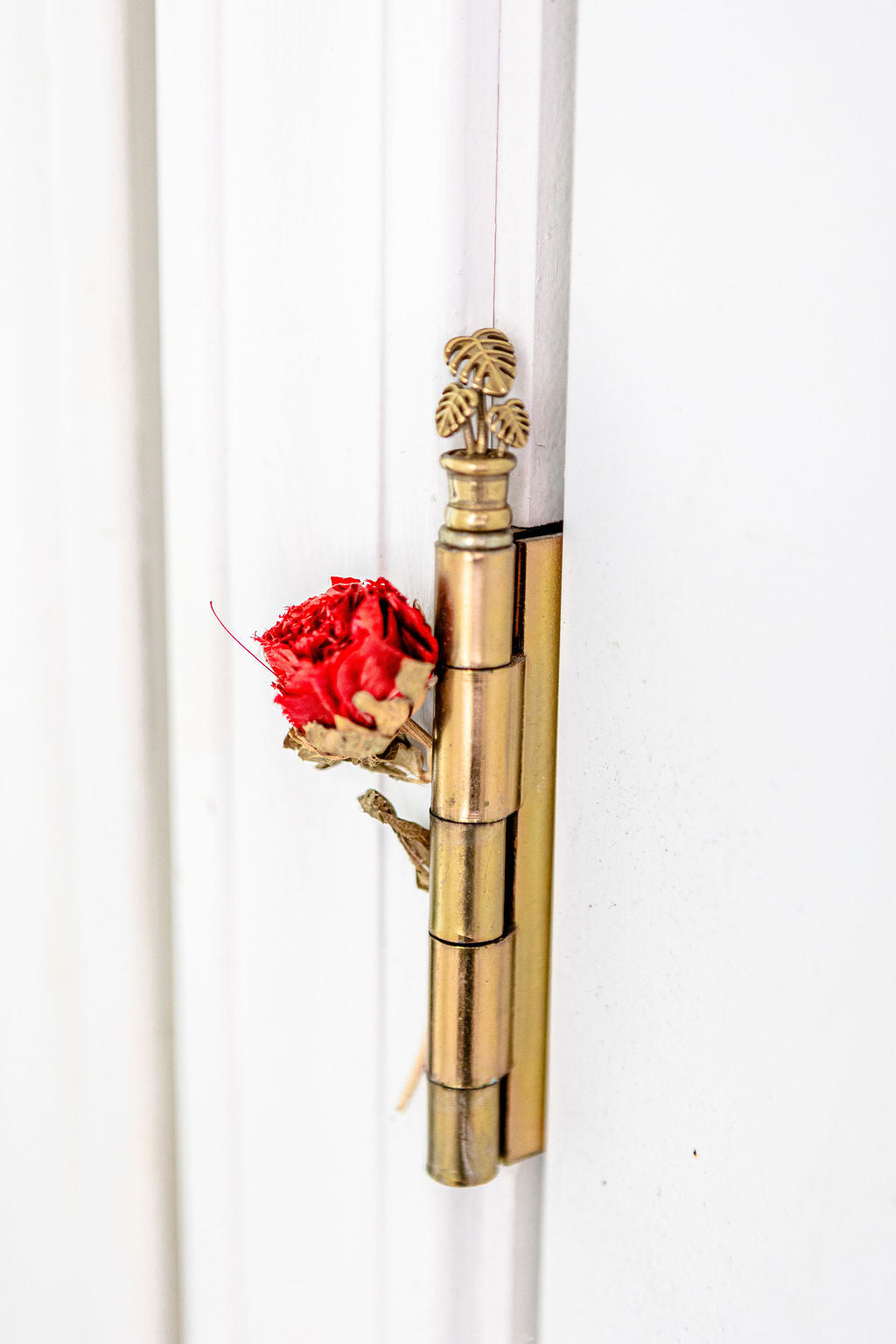 Threshold Guardians (Hinge Magnets)