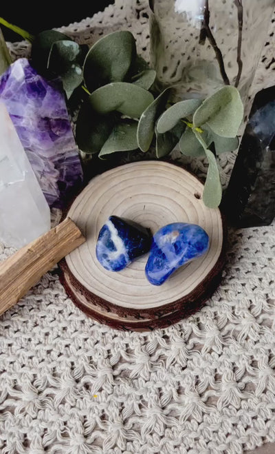 Sodalite Tumbled