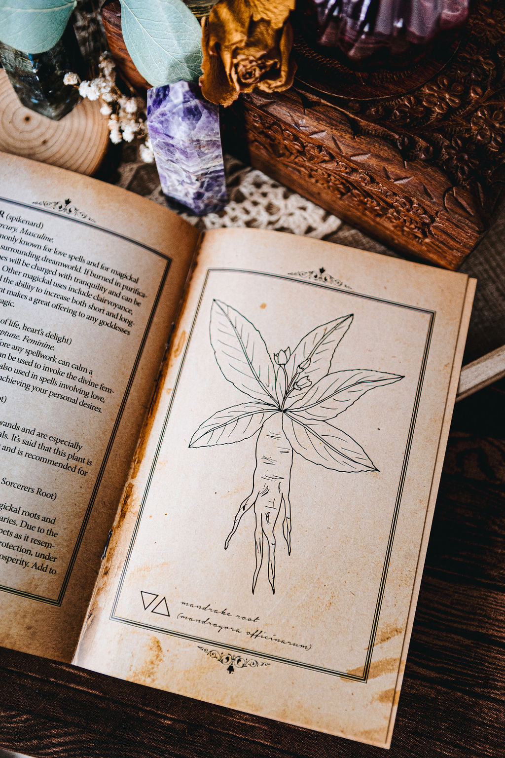 Magickal Herbs Booklet