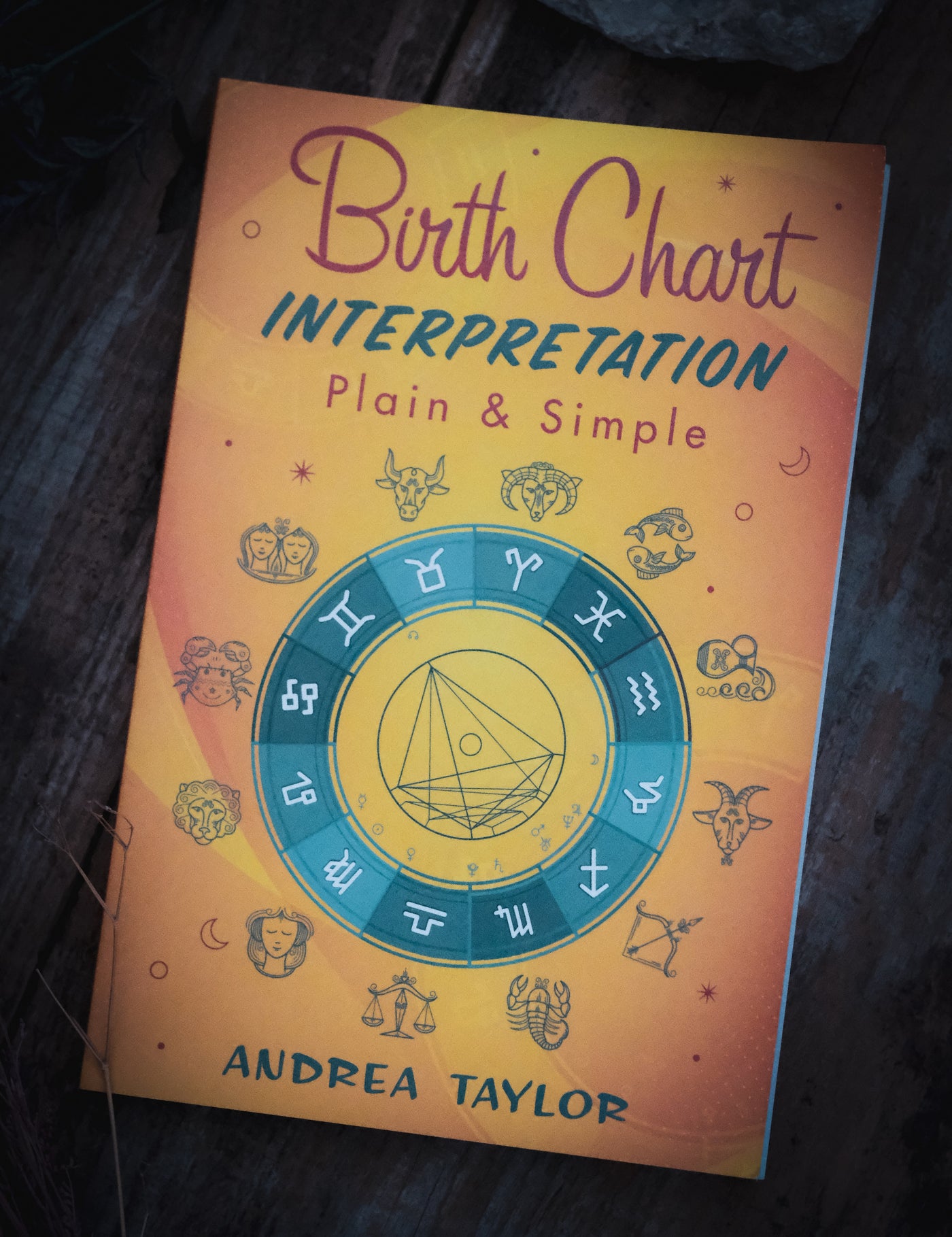 Birth Chart Interpretation Plain Simple Tamed Wild birth-chart-interpretation-plain-simple-tamed-wild
