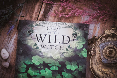 Craft of the Wild Witch