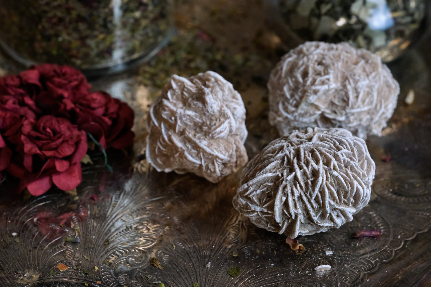 Three desert rose crystals displayed next to a red rose.