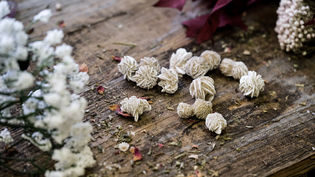 a dozen small desert rose pieces spread and displayed on a table with babies breath. 