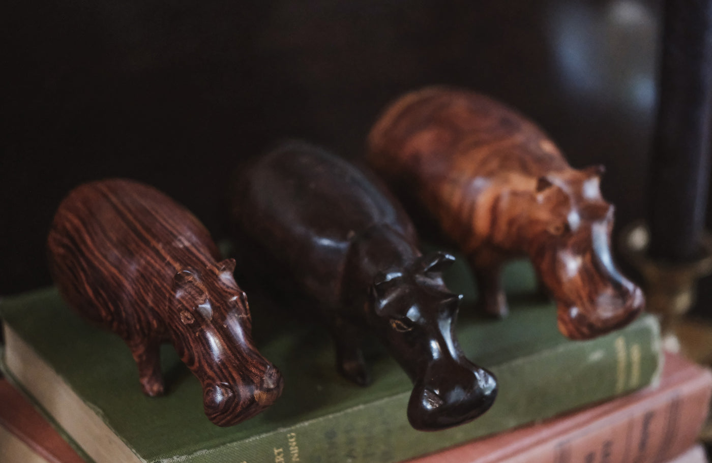 Wooden African Hippo