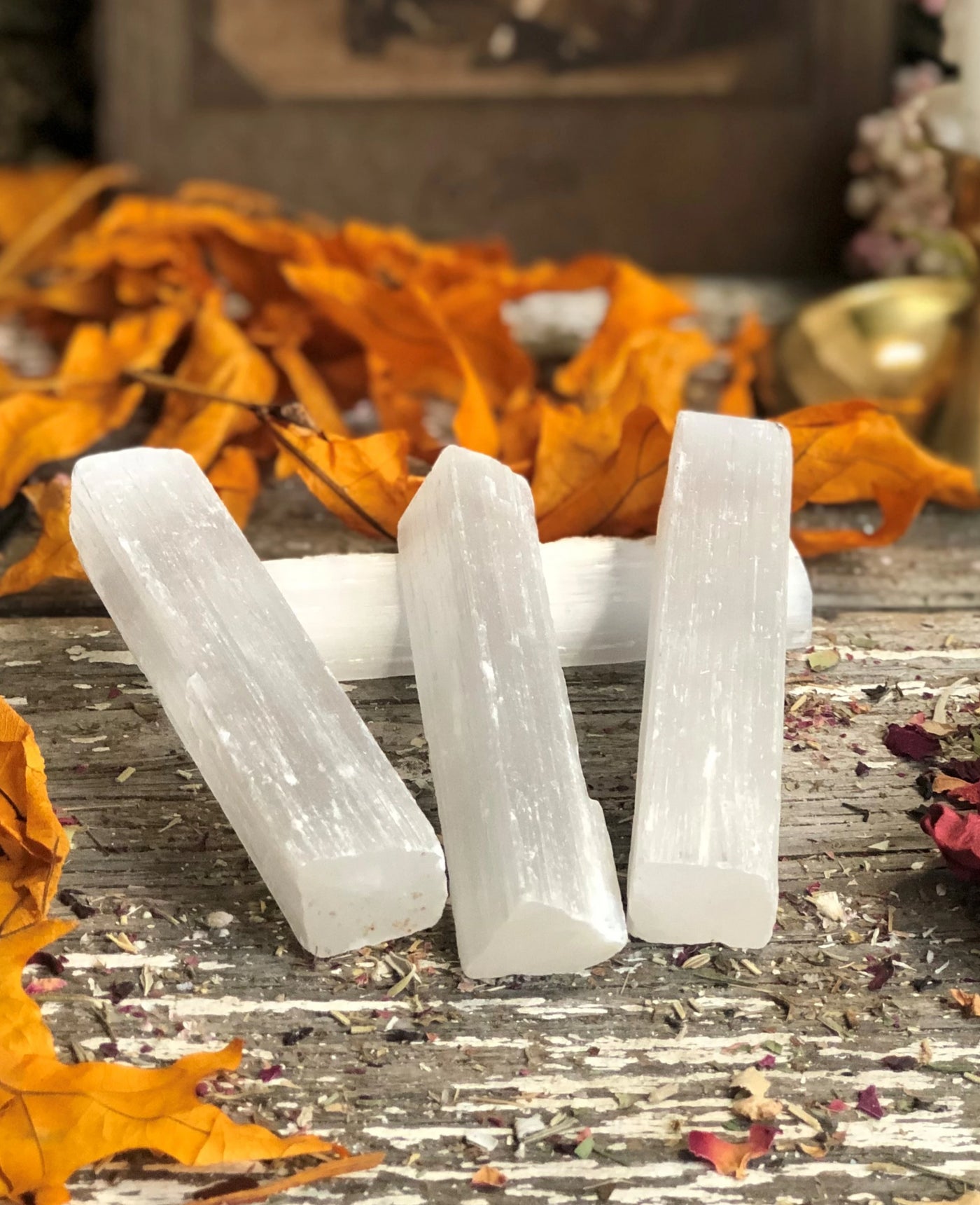 Selenite wands displayed out