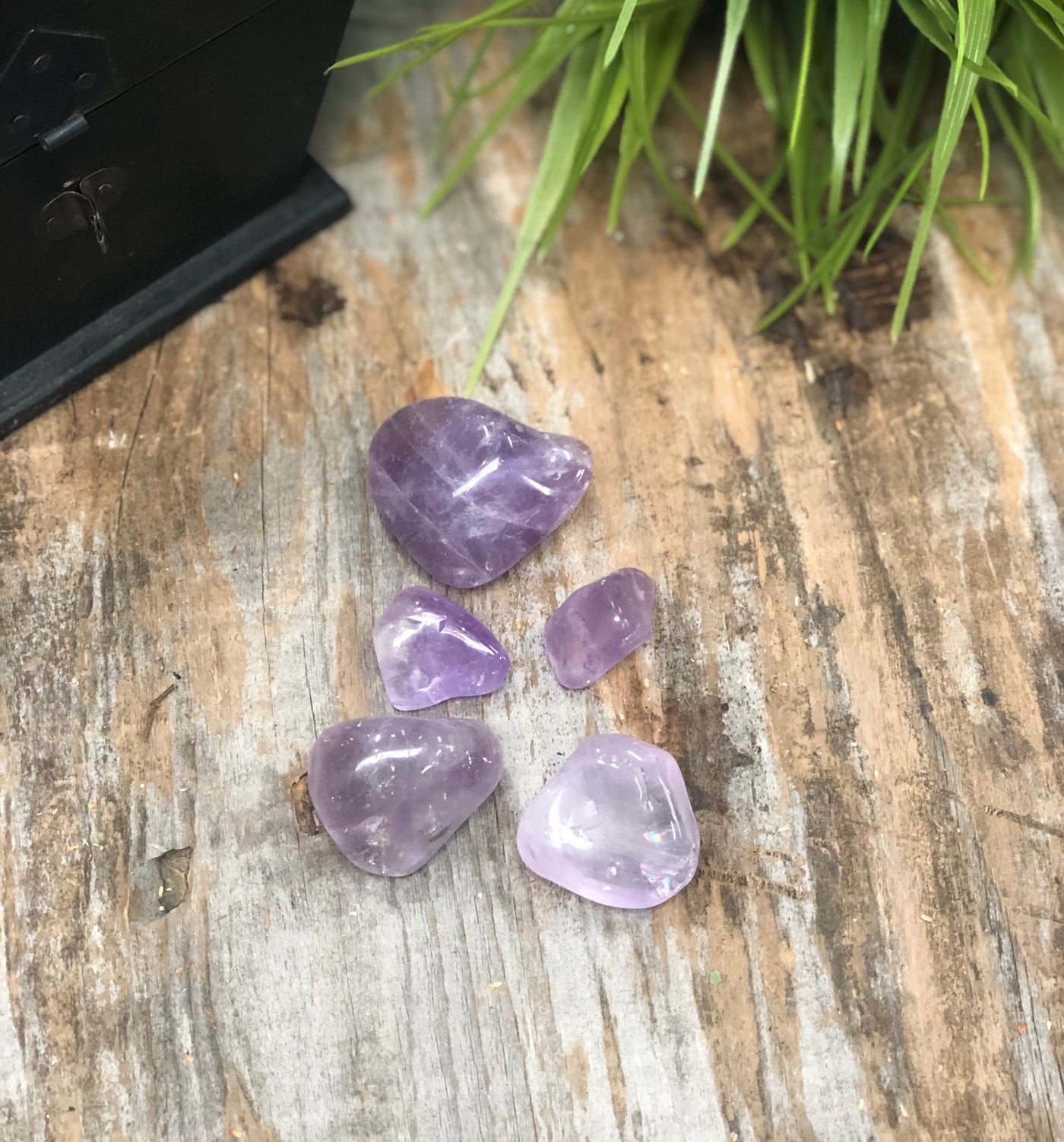 Five polished purple amethyst on a brown background. 